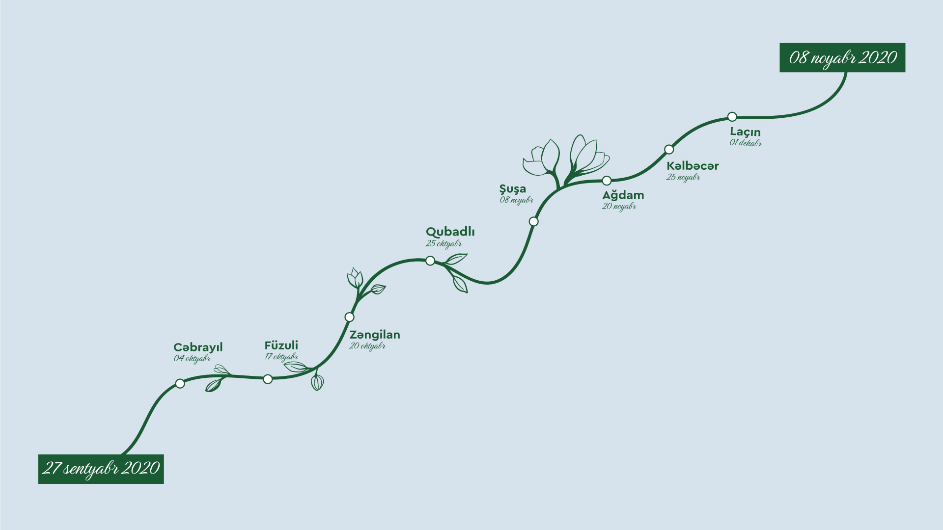 “ZEFER” - LIMITED EDITION